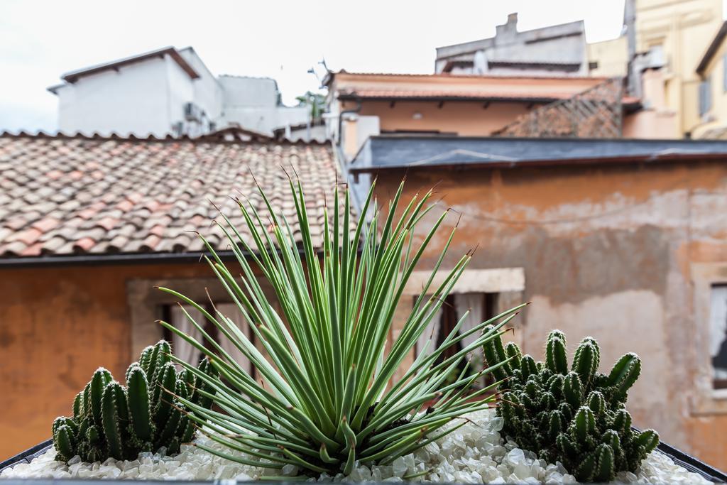 Domus Colosseo Luxury Roma Exterior foto